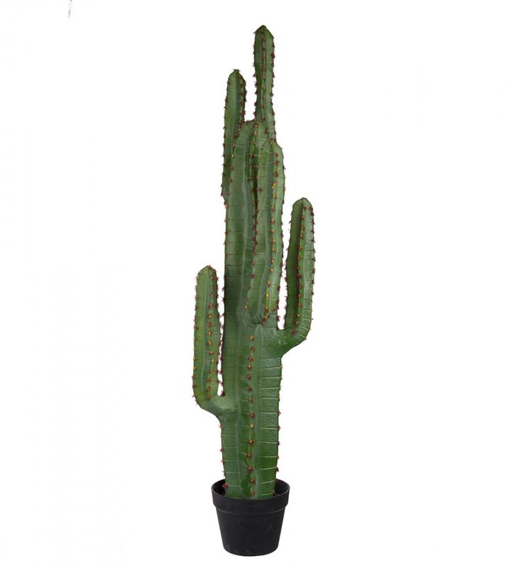 KAKTUS 110 cm