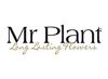 Mr Plant