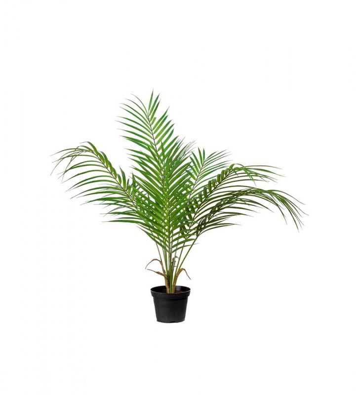PALME