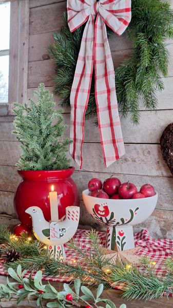 Hovedbilde SKÅL Donya