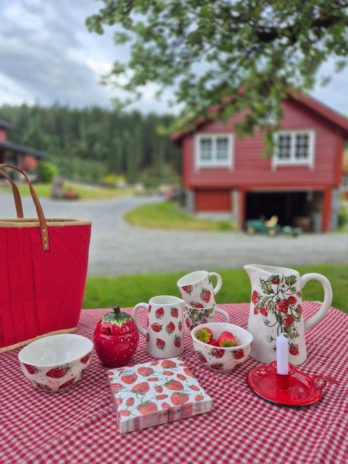 Hovedbilde KRUS med Jordbærmotiv