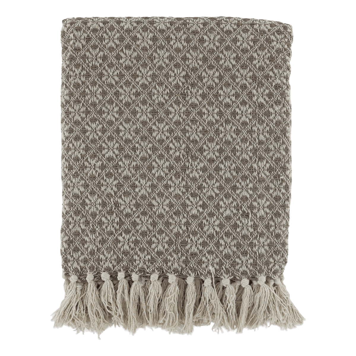 PLEDD AIX 14 Latte og Creme