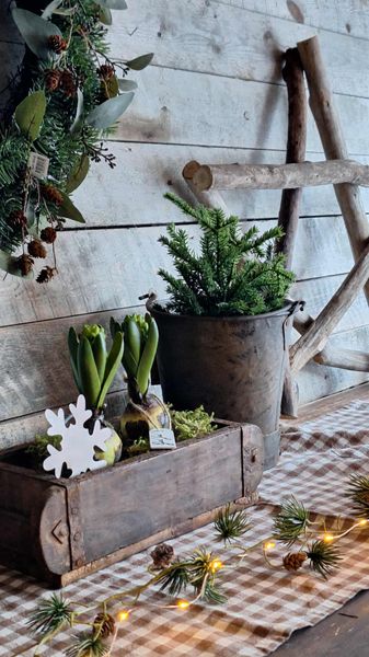 Hovedbilde BØTTE Treasure med Håndtak