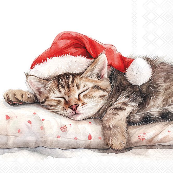 Hovedbilde SERVIETT Lunsj Dreaming about X-Mas