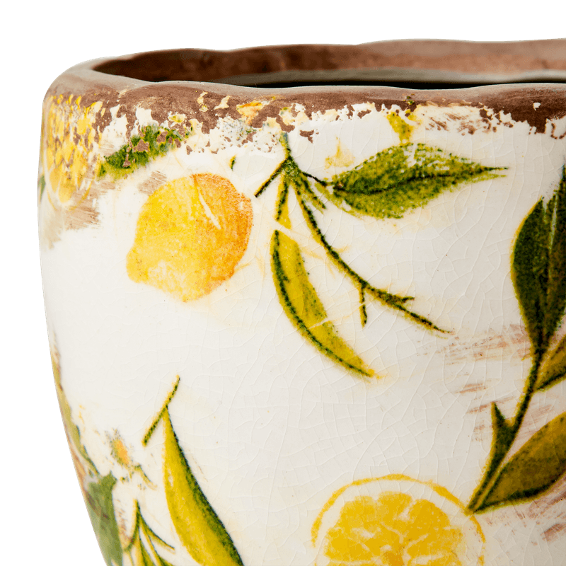 LEMONA Potter