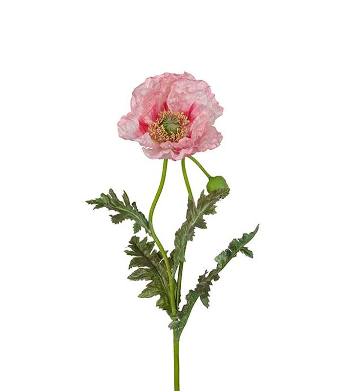 KVIST Valmue Rosa