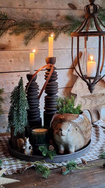 Hovedbilde KRUKKE Pinnsvin