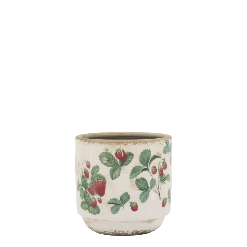 POTTER Jordbær Serie 