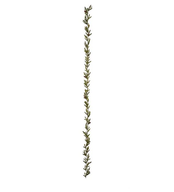 Hovedbilde GUIRLANDER Granris 140 cm 2