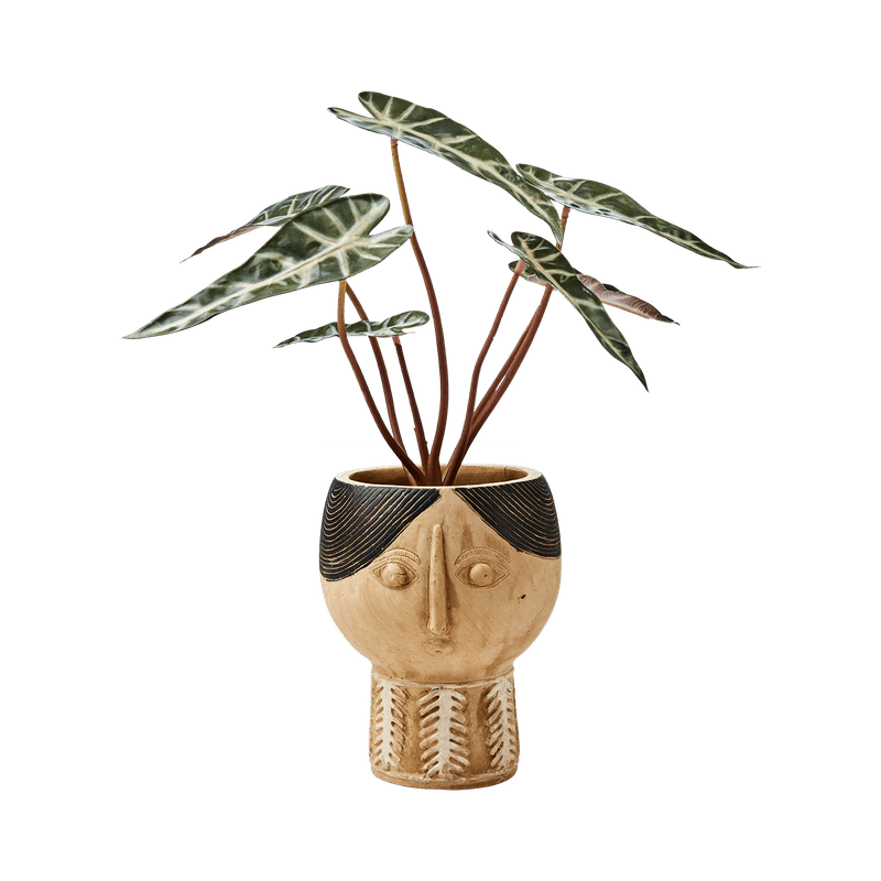 KRUKKE Camille Beige/Svart