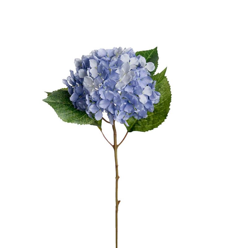 KVIST Hortensia Blå